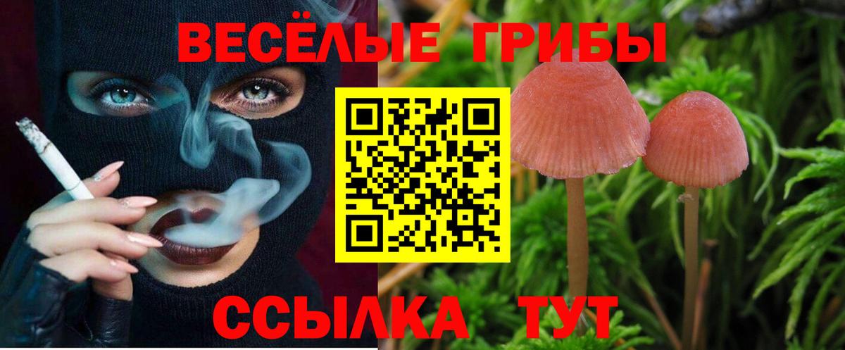 Псилоцибиновые грибы MAGIC MUSHROOMS  купить наркотик  Псилоцибиновые грибы Magic Shrooms  Уфа  Вход с VPN 